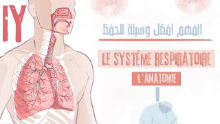 le système respiratoirelanatomie généraleلن تحتاج الى حفضه بعد هذا [upl. by Denman]