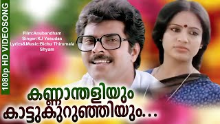 കണ്ണാന്തളിയും കാട്ടൂകുറിഞ്ഞിയും  Anubandham  Malayalam Film Song  Mammootty  KJ Yesudas [upl. by Luanni]