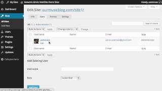 WordPress MultiSite Editing Existing Network Sites [upl. by Ajssatan]