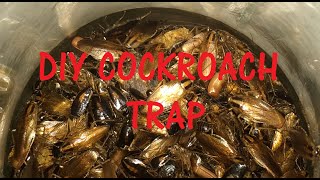 DIY Cockroach Trap with proof [upl. by Esilenna]