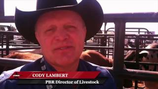 Cody Lambert Hes the best bull [upl. by Matt]