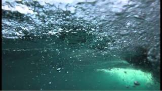 Atlantic Shelfbreak Using robotic vehicles to observe ocean life [upl. by Merrielle842]