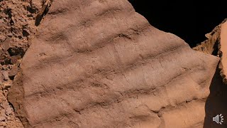 Primary Sedimentary Structures [upl. by Nairdna]