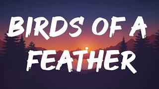 Billie Eilish  BIRDS OF A FEATHER Lyrics [upl. by Nohsed]