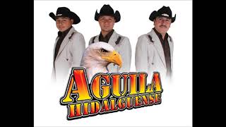 Trio Águila Hidalguense quotsubanle todo ala músicaquot [upl. by Formica]