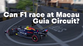 Macau GP  Can F1 race at Guia Circuit Formula 1 Red Bull RB20 RIcciardo VRC Formula Alpha 2024 [upl. by Nahgrom950]