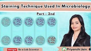 Staining Techniques used in Microbiology PART II [upl. by Ahsia]