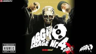 FLER  NEUE DEUTSCHE WELLE  AGGRO ANSAGE NR 4X  ALBUM  TRACK 02 [upl. by Swanson944]