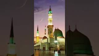 O madina Jo mere pyare [upl. by Alikee]