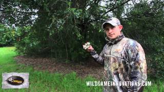 Wildgame Innovations Vantage Action Cam Tip [upl. by Keefer]