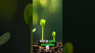 From The Field E4  Secrets of Plant Nutrition Boosting Seedling Growth amp Development [upl. by Past]