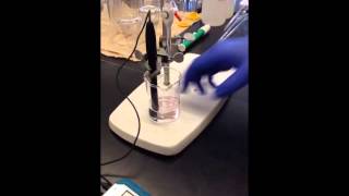 How to do a Weak AcidStrong Base Titration [upl. by Lulu468]