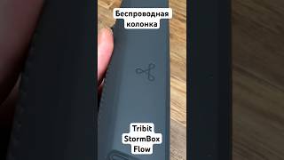 Беспроводная колонка Tribit StormBox Flow прокачала квартиру [upl. by Harwin]