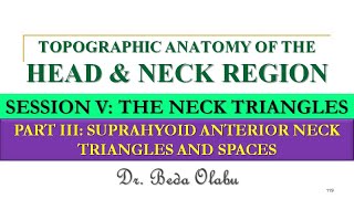 SUPRAHYOID ANTERIOR NECK TRIANGLES SUBMENTAL amp SUBMANDIBULAR AND THE SUPRAHYOID NECK SPACES [upl. by Farant]