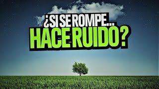 Un árbol se rompe y nadie lo escucha ¿Hace ruido [upl. by Tollmann382]