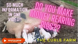 THINKING ABOUT REARING PIGS WATCH THIS  ECONOMICS OF SMALL SCALE PIG REARING [upl. by Omidyar]