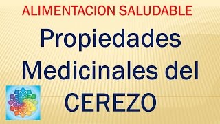 Propiedades Medicinales del CEREZO [upl. by Eeroc]