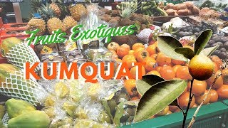 Fruits exotiques kumquat comment manger [upl. by Adivad]