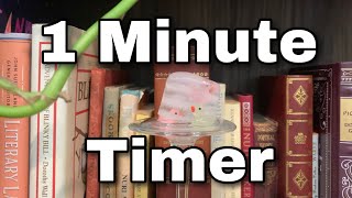 1 Minute Timer  Tiny Ducks in Ice Cube Time Lapse [upl. by Eimmac]