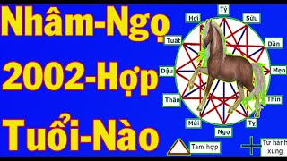 Tuổi Nhâm Ngọ Sinh Năm 2002 Hợp Với Tuổi Nào Trong Làm ăn Và Hôn Nhân [upl. by Lawlor687]