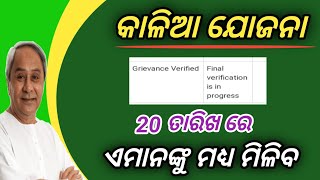 How To Chek kalia yojana status 2023kalia yojana moneyKalia yojana 2023Technical Surya 01 [upl. by Lawton]