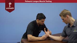 Palmaris Longus Muscle Test Palp Dr Vizniak Muscle Manual [upl. by Henleigh198]