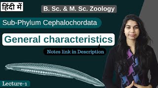 SubPhylum Cephalochordata  general characteristics  In Hindi  B Sc amp M Sc  Zoology [upl. by Notlimah565]