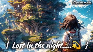 Lost In the Night 💫 Music   Big Bros music [upl. by Yesnyl354]