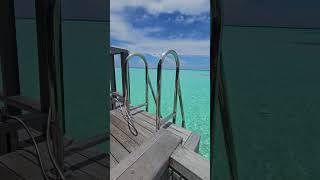 WATER Bungalow Your overwater villa in maldives lemeridien [upl. by Gwyneth418]