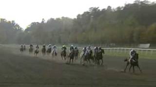 Velka Pardubice 2008  full race [upl. by Bissell]