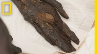 Stolen Mummys Left Hand Found and Returned to Egypt  National Geographic [upl. by Kilar]