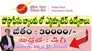 EXECUTIVE JOBS IN POST OFFICE BANK  IPPB   GRAMEEN DAK SEVAK  INDIA POST  COMPLETE DETAILS [upl. by Eltsryk]