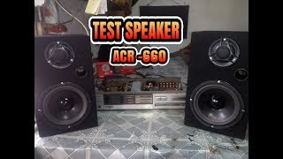 test spiker ACR 6quot High Clariti HIFI sistem with sony power amplifier [upl. by Lole]