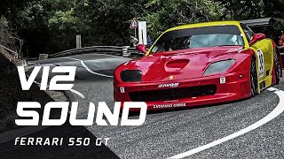 V12 SOUND Ferrari 550 GT  Piero Nappi  Reventino 2015 [upl. by Einalam320]