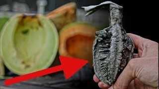 Aluminum Vs Melons  Hand Grenade [upl. by Rosa]