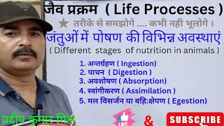 जन्तुओं में पोषण की विभिन्न अवस्थाएं Different stages of nutrition in animals Science  CLASS10 [upl. by Arretak162]