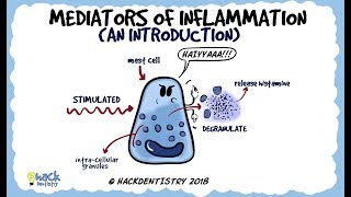 Mediators of Inflammation An Introduction [upl. by Ettegroeg781]