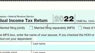 Form 1040 and Earned Income Credit [upl. by Hannie]