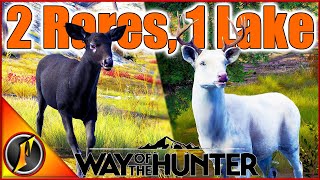 TWO RARES at One Lake  A New Albino Buck amp Melanistic Doe in Way of the Hunter [upl. by Acisseg]