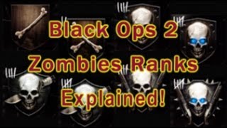 Black Ops 2 Zombies  How the ranking system works Accurate [upl. by Lehcar]