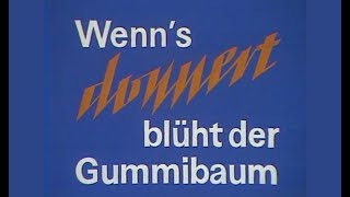 Fernsehspiel  Wenns donnert blüht der Gummibaum  Fernsehen der DDR 1982 [upl. by Bisset]