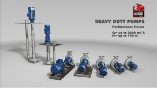 Salvatore Robuschi Pompe Heavy Duty Pumps [upl. by Nollie677]