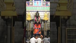 Sri anjaneyar kovil anjaneyartemple god [upl. by Naira]