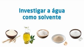 Investigar a água como solvente [upl. by Marozik]