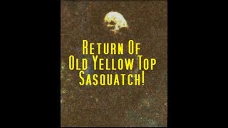 Return Of Old Yellow Top Sasquatch Bigfoot Barn [upl. by Seidel]