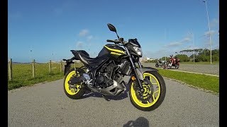 YAMAHA MT 03  UM CANHÃO 300CC [upl. by Dorcea395]