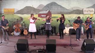 The Celtic Martins at the 68th Annual Kutztown Folk Festival [upl. by Hakan31]