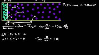 Ficks First Law of Diffusion [upl. by Mairym]