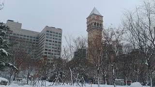 Sejong University Winter Seoul South Korea [upl. by Smalley]