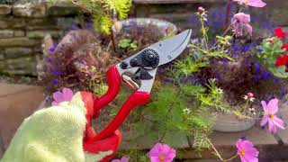 Left Handed Secateurs [upl. by Sabrina867]